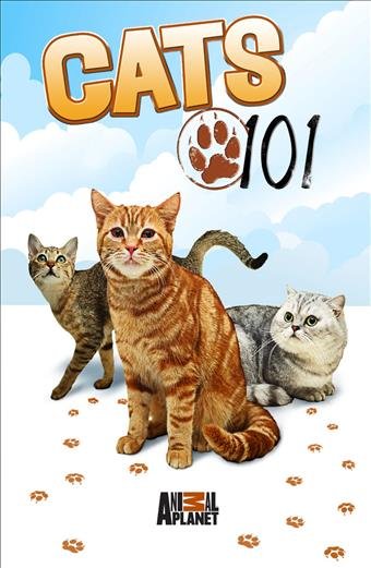 KEDİLERİ TANIYALIM    5+Yaş