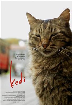 KEDİ    7+Yaş