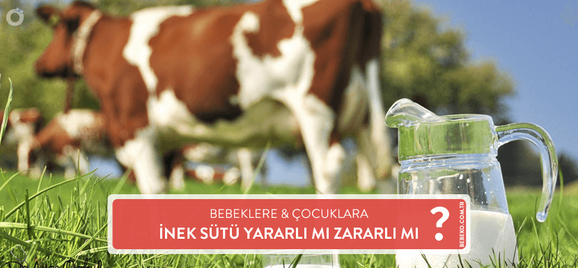 Bebeklere İnek Sütü Yararlı Mı? Zararlı Mı?