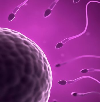 Sperm Kalitesini Etkileyen Faktörler